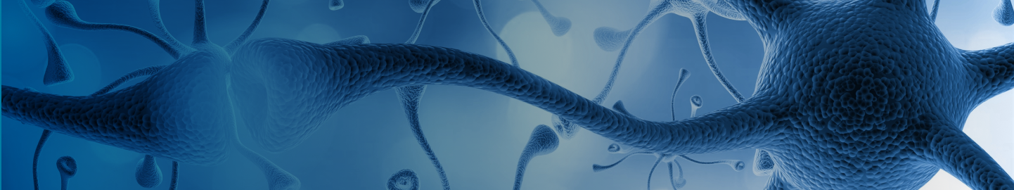 overview_banner