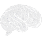 image of brain