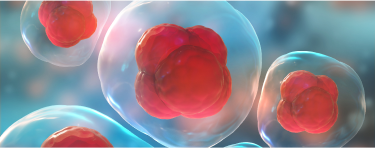 cystinosys_treatment_banner_phone